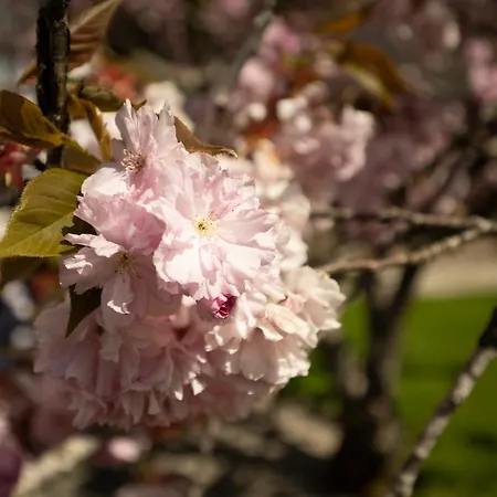 Ferienhaus Hulda Ohningen
